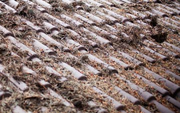 Titmore Green roof cleaning companies